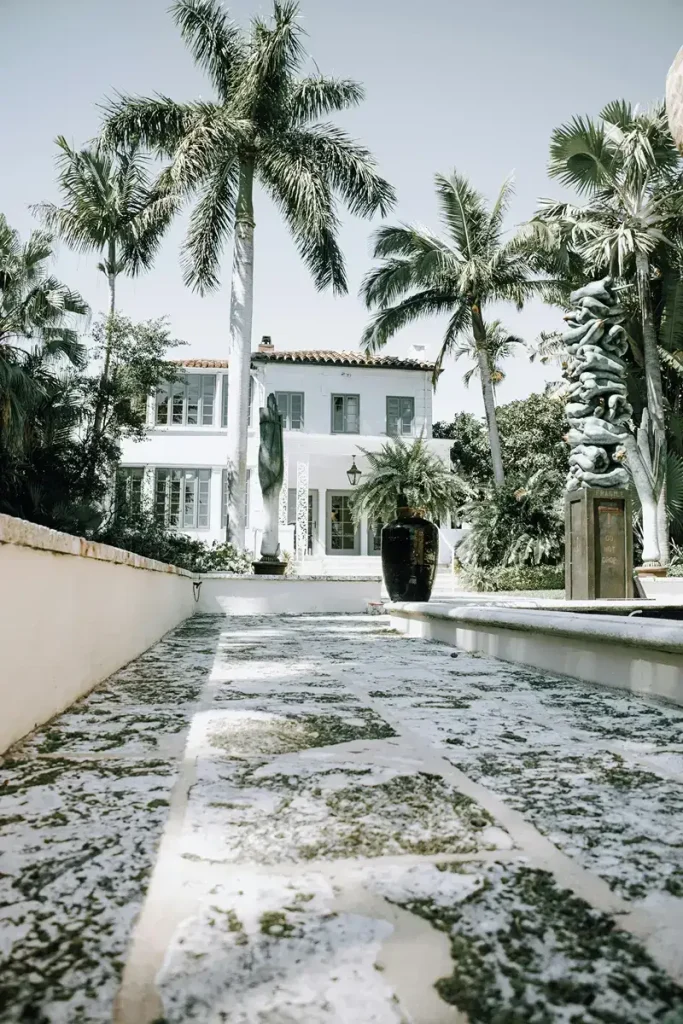 Algae and mold buildup on exterior residential surfaces.
