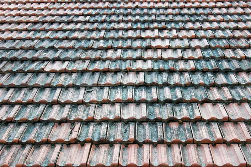 Close-up view of dirty terracotta clay roof tiles covered in black algae streaks and environmental grime.